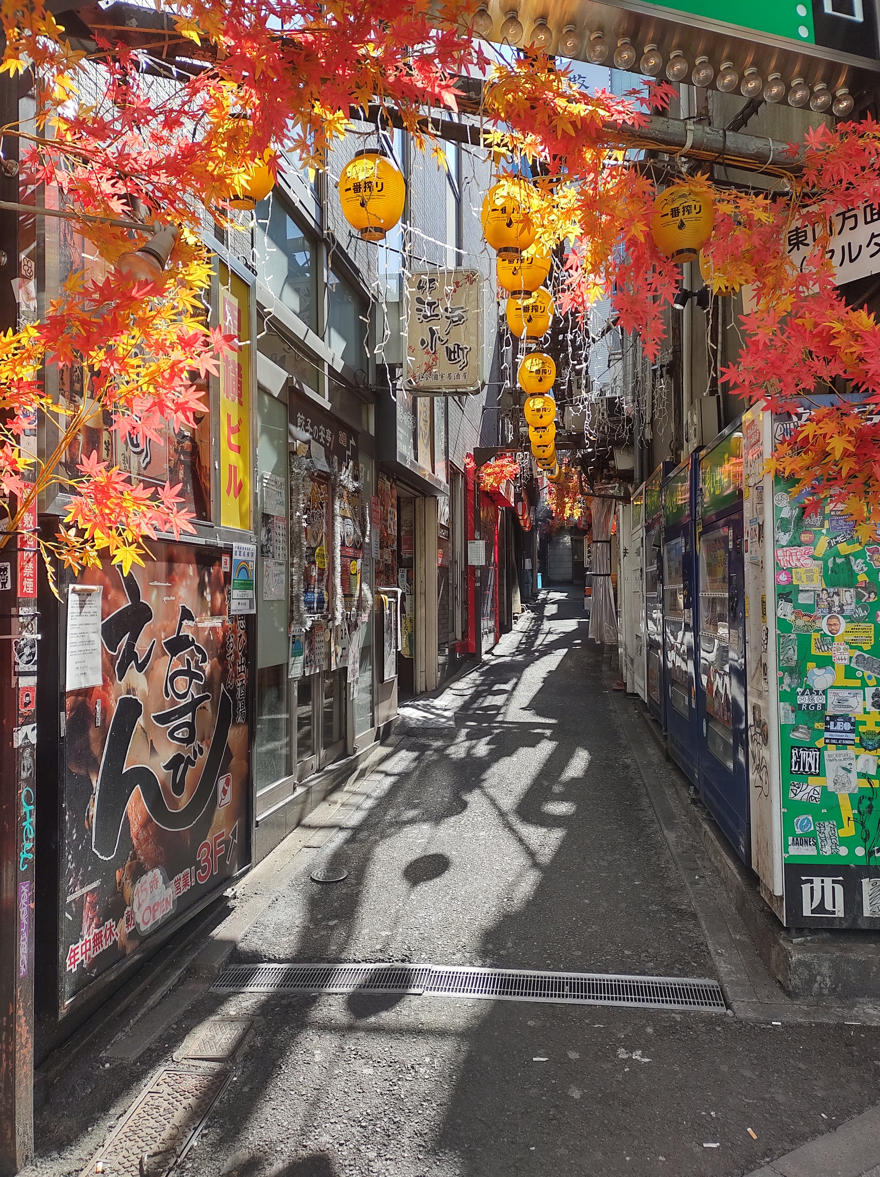 guía japón WH