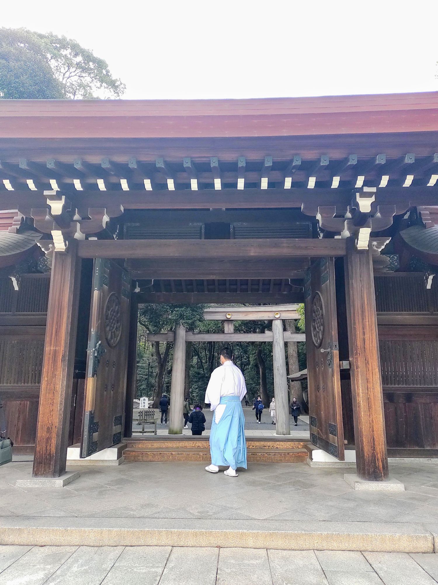 trabajar en japón working holiday	