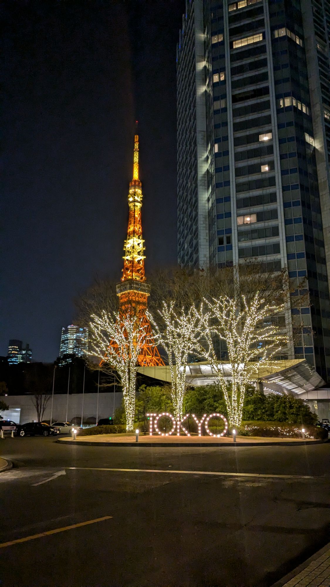 working holiday visa japon