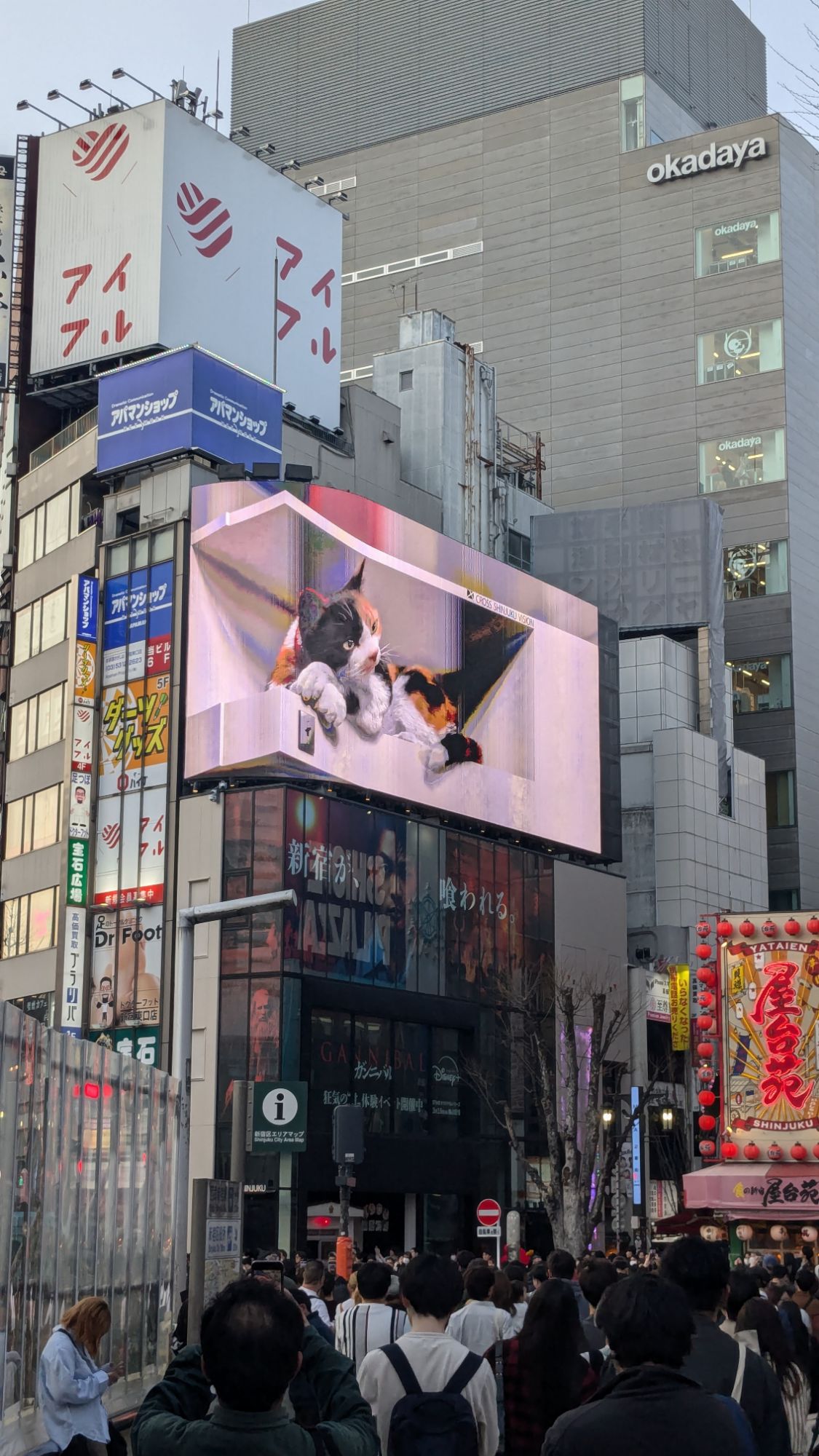 japan work holiday